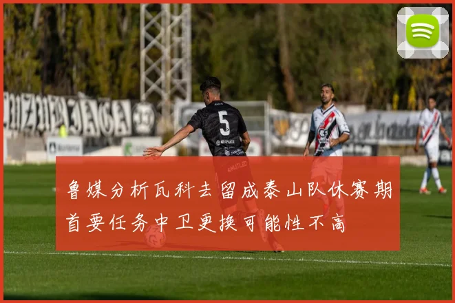 鲁媒分析瓦科去留成泰山队休赛期首要任务中卫更换可能性不高