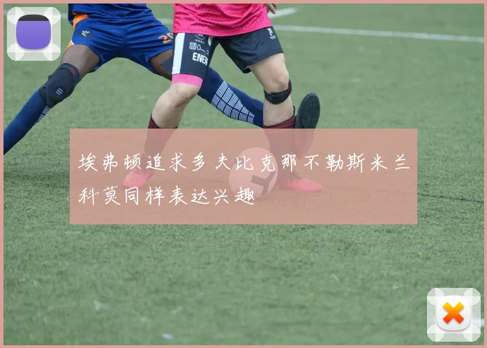 埃弗顿追求多夫比克那不勒斯米兰科莫同样表达兴趣