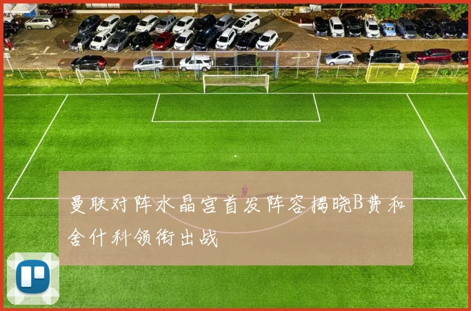 曼联对阵水晶宫首发阵容揭晓B费和舍什科领衔出战