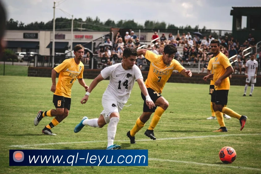 乐鱼体育服务体系